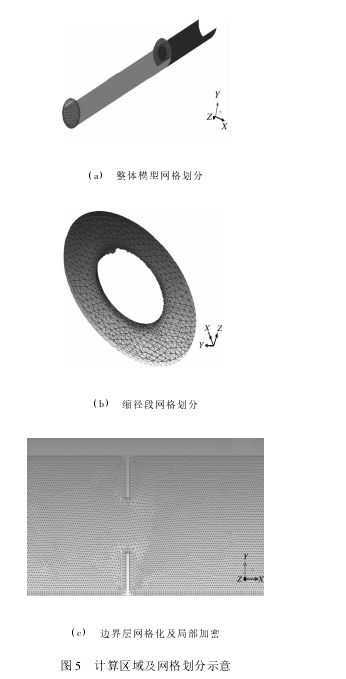 圖 5 計算區(qū)域及網格劃分示意