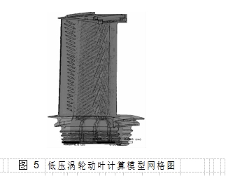 圖 5	低壓渦輪動葉計(jì)算模型網(wǎng)格圖