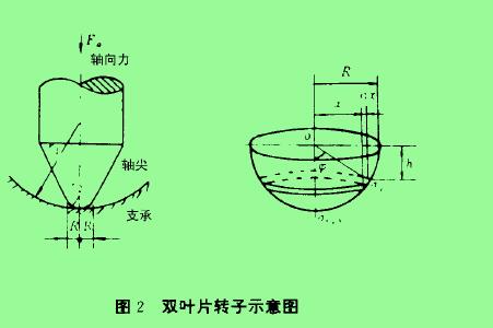 圖2雙葉片轉子示愈圖