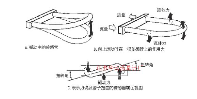 圖2 科氏質(zhì)量流量計(jì)測量管振動示意圖Fig.2 Schematic diagram of measuring tube vibration of coriolis mass flowmeter