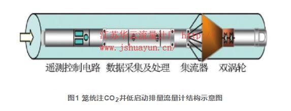 圖1 籠統(tǒng)注CO2井低啟動排量流量計結(jié)構(gòu)示意圖